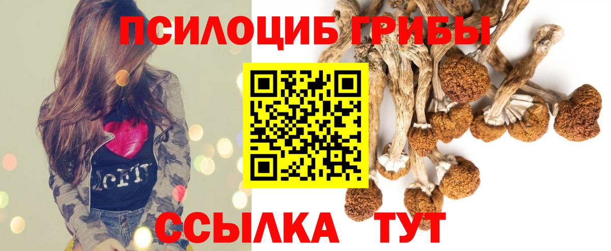 Галлюциногенные грибы мицелий  Вход с VPN  наркошоп  Бугуруслан 